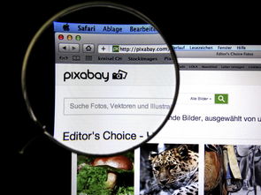 九游网页版官网入口-体育新闻中心发布体育短视频传播效果白皮书，体育短视频成为平台和用户的新宠